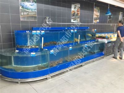 冰鮮魚(yú)池系列